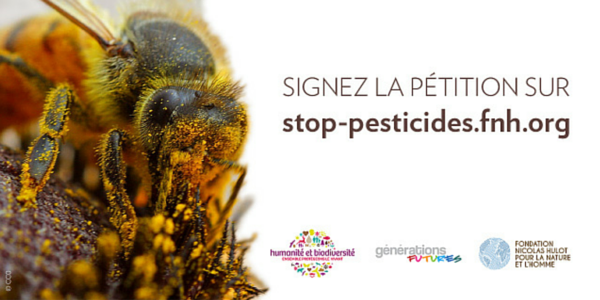 Pesticides: Stop au massacre des abeilles ! - Générations Futures