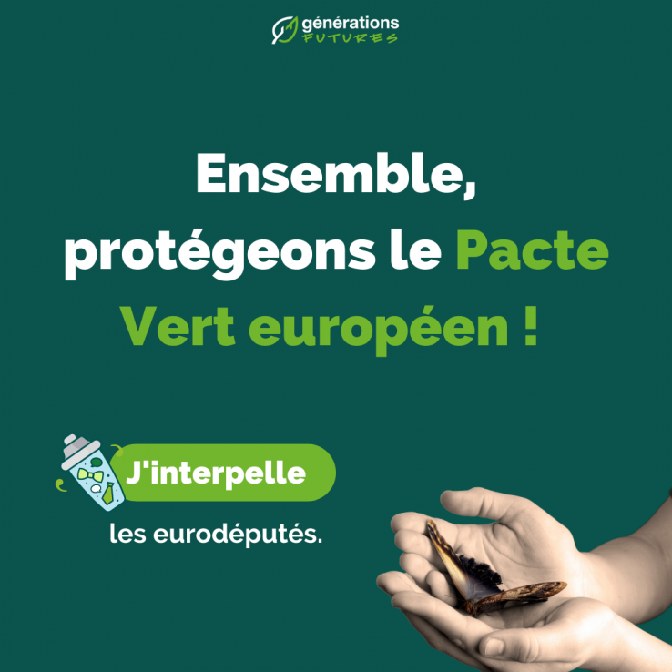 Interpellons Les Eurodéputés Pour Sauver Le Pacte Vert Européen # ...