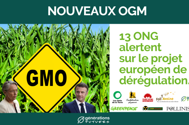 Nouveaux OGM: La Réponse Des ONG à La Commission Européenne ...