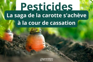 Pesticides : La saga de la carotte s’achève à la cour de cassation