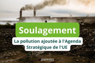 La pollution ajoutée à l’Agenda Stratégique de l’UE grâce à l’action de nos ONG !