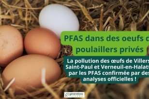 La pollution des œufs de Villers-Saint-Paul et Verneuil-en-Halatte par les PFAS, déjà démontrée par Générations Futures, confirmée par des analyses officielles !