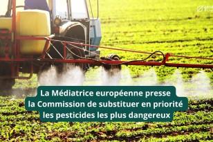 La Médiatrice européenne presse la Commission de substituer en priorité les pesticides les plus dangereux