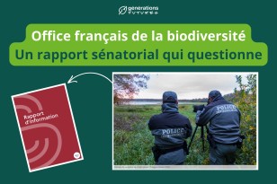 Ue rapport d’information sur l’OFB : un acteur essentiel à renforcer pour une meilleure protection de la biodiversité