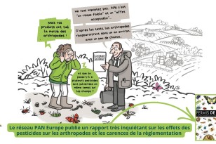 Arthropodes et pesticides : un nouveau rapport exclusif du réseau PAN Europe