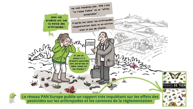 Arthropodes et pesticides : un nouveau rapport exclusif du réseau PAN Europe