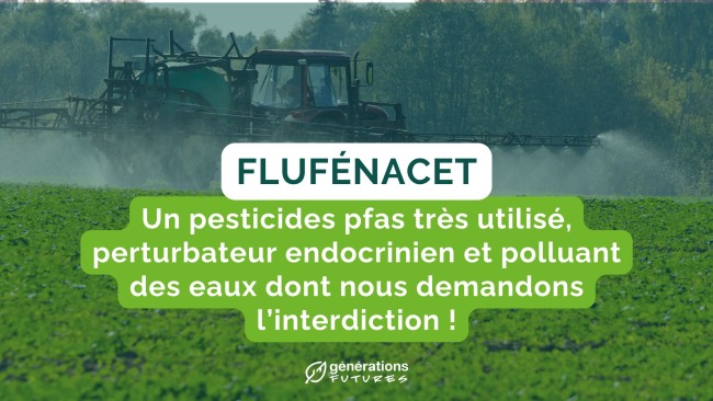 Pesticides Polluants Eternels : la France et l’UE doivent agir et vite !