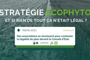 Stratégie Ecophyto 2030 : Des associations contestent la légalité du plan devant le Conseil d’Etat