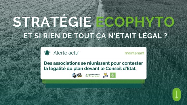 Stratégie Ecophyto 2030 : Des associations contestent la légalité du plan devant le Conseil d’Etat