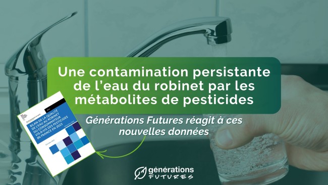 De nouvelles données démontrent la contamination persistante de l’eau du robinet par des pesticides et leurs métabolites.