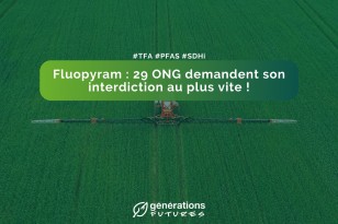 Fluopyram : 29 ONG demandent son interdiction au plus vite !