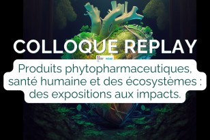 Colloque INRAE sur les pesticides : Synthèse et enseignements clés